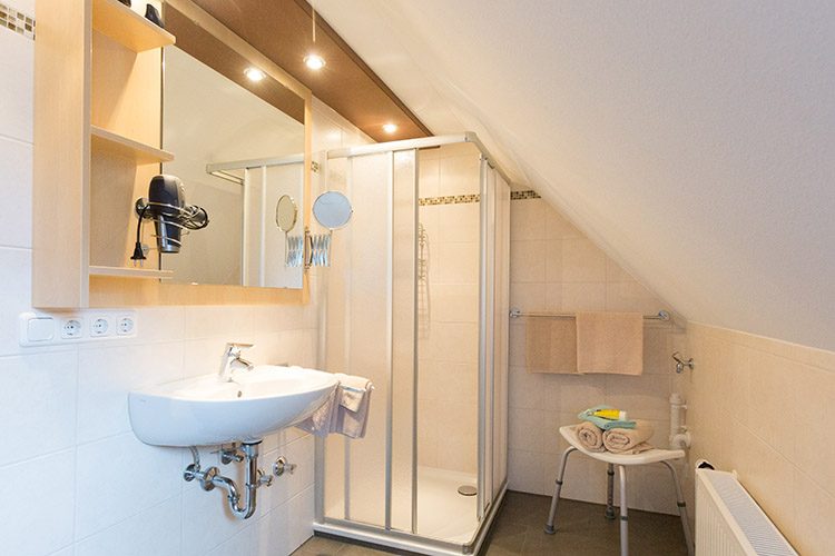 Große Ferienwohnung Roiser _0022